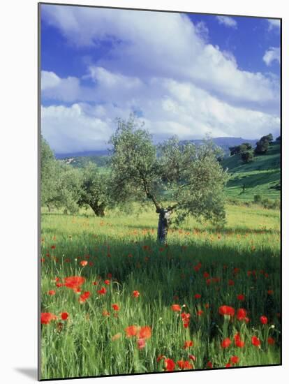 North Ronda, Andalucia, Spain-Peter Adams-Mounted Premium Photographic Print