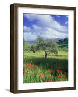 North Ronda, Andalucia, Spain-Peter Adams-Framed Photographic Print