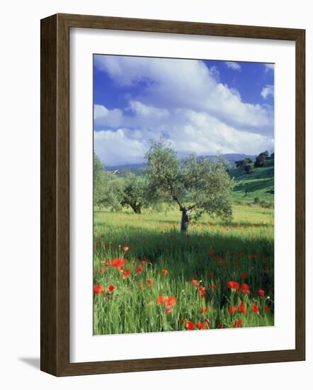 North Ronda, Andalucia, Spain-Peter Adams-Framed Photographic Print