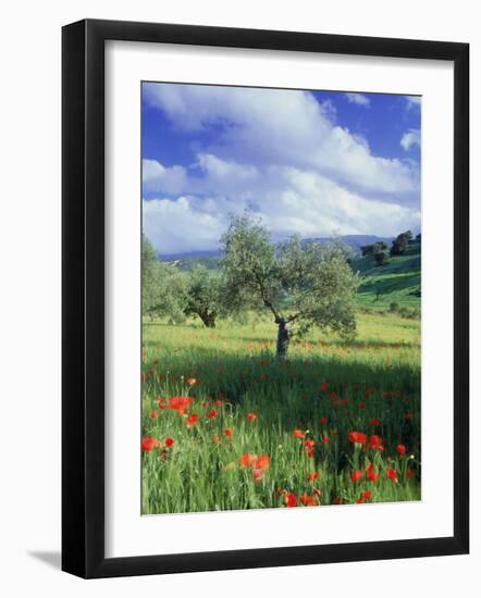 North Ronda, Andalucia, Spain-Peter Adams-Framed Photographic Print