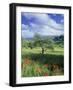 North Ronda, Andalucia, Spain-Peter Adams-Framed Photographic Print