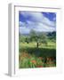 North Ronda, Andalucia, Spain-Peter Adams-Framed Photographic Print