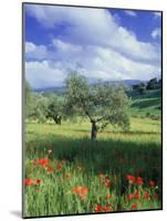 North Ronda, Andalucia, Spain-Peter Adams-Mounted Photographic Print