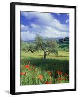 North Ronda, Andalucia, Spain-Peter Adams-Framed Photographic Print