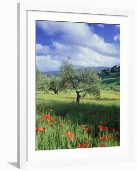 North Ronda, Andalucia, Spain-Peter Adams-Framed Photographic Print