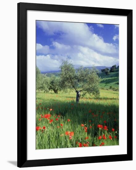 North Ronda, Andalucia, Spain-Peter Adams-Framed Photographic Print