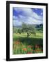 North Ronda, Andalucia, Spain-Peter Adams-Framed Photographic Print