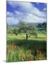 North Ronda, Andalucia, Spain-Peter Adams-Mounted Photographic Print