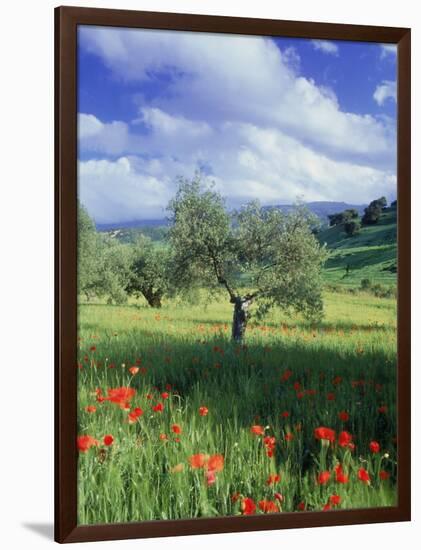 North Ronda, Andalucia, Spain-Peter Adams-Framed Photographic Print