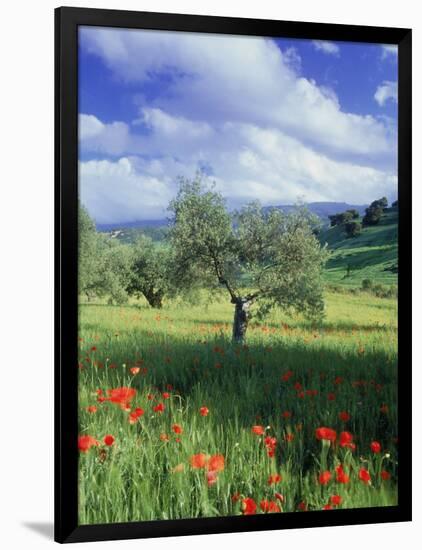 North Ronda, Andalucia, Spain-Peter Adams-Framed Photographic Print