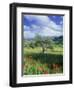 North Ronda, Andalucia, Spain-Peter Adams-Framed Premium Photographic Print