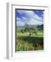 North Ronda, Andalucia, Spain-Peter Adams-Framed Premium Photographic Print