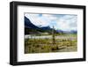 North Saskatchewan River,Canadian Rockies,Canada-Tatsuo115-Framed Photographic Print