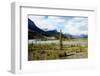 North Saskatchewan River,Canadian Rockies,Canada-Tatsuo115-Framed Photographic Print