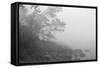 North Shore 2-Gordon Semmens-Framed Stretched Canvas