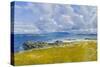 North Shore, Iona, 2015-Charles Simpson-Stretched Canvas