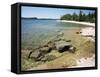 North Shore of Lake on Rocky Platform of Forested Laurentian Shield, Lake Superior, Canada-Tony Waltham-Framed Stretched Canvas