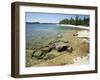 North Shore of Lake on Rocky Platform of Forested Laurentian Shield, Lake Superior, Canada-Tony Waltham-Framed Photographic Print