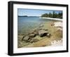 North Shore of Lake on Rocky Platform of Forested Laurentian Shield, Lake Superior, Canada-Tony Waltham-Framed Photographic Print