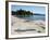 North Shore of Lake on Rocky Platform of Forested Laurentian Shield, Lake Superior, Canada-Tony Waltham-Framed Photographic Print