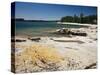 North Shore of Lake on Rocky Platform of Forested Laurentian Shield, Lake Superior, Canada-Tony Waltham-Stretched Canvas