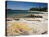 North Shore of Lake on Rocky Platform of Forested Laurentian Shield, Lake Superior, Canada-Tony Waltham-Stretched Canvas