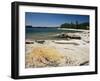 North Shore of Lake on Rocky Platform of Forested Laurentian Shield, Lake Superior, Canada-Tony Waltham-Framed Photographic Print