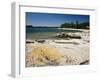 North Shore of Lake on Rocky Platform of Forested Laurentian Shield, Lake Superior, Canada-Tony Waltham-Framed Photographic Print