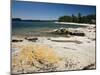 North Shore of Lake on Rocky Platform of Forested Laurentian Shield, Lake Superior, Canada-Tony Waltham-Mounted Photographic Print