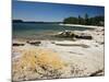 North Shore of Lake on Rocky Platform of Forested Laurentian Shield, Lake Superior, Canada-Tony Waltham-Mounted Photographic Print