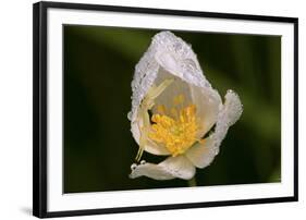 North Shore-Gordon Semmens-Framed Photographic Print