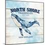 North Shore-Kimberly Allen-Mounted Art Print