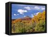 North Six Shooter Peak Framed With Yellow Fall Cottonwoods, Utah, USA-Bernard Friel-Framed Stretched Canvas