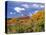 North Six Shooter Peak Framed With Yellow Fall Cottonwoods, Utah, USA-Bernard Friel-Stretched Canvas