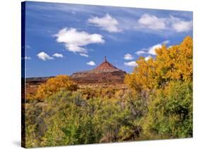 North Six Shooter Peak Framed With Yellow Fall Cottonwoods, Utah, USA-Bernard Friel-Stretched Canvas