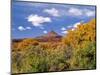 North Six Shooter Peak Framed With Yellow Fall Cottonwoods, Utah, USA-Bernard Friel-Mounted Photographic Print