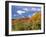 North Six Shooter Peak Framed With Yellow Fall Cottonwoods, Utah, USA-Bernard Friel-Framed Photographic Print