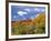 North Six Shooter Peak Framed With Yellow Fall Cottonwoods, Utah, USA-Bernard Friel-Framed Photographic Print