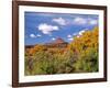 North Six Shooter Peak Framed With Yellow Fall Cottonwoods, Utah, USA-Bernard Friel-Framed Photographic Print