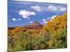 North Six Shooter Peak Framed With Yellow Fall Cottonwoods, Utah, USA-Bernard Friel-Mounted Photographic Print
