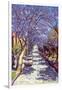 North Sydney Jacaranda, 1990-Ted Blackall-Framed Giclee Print