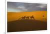 North Tafilalet, Erfoud, Merzouga, Erg Chebbi, Dromedary Camel Caravan-Emily Wilson-Framed Photographic Print