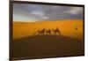 North Tafilalet, Erfoud, Merzouga, Erg Chebbi, Dromedary Camel Caravan-Emily Wilson-Framed Photographic Print