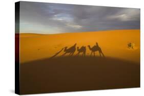 North Tafilalet, Erfoud, Merzouga, Erg Chebbi, Dromedary Camel Caravan-Emily Wilson-Stretched Canvas