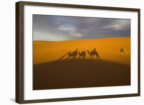 North Tafilalet, Erfoud, Merzouga, Erg Chebbi, Dromedary Camel Caravan-Emily Wilson-Framed Photographic Print