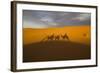 North Tafilalet, Erfoud, Merzouga, Erg Chebbi, Dromedary Camel Caravan-Emily Wilson-Framed Photographic Print