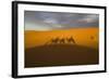 North Tafilalet, Erfoud, Merzouga, Erg Chebbi, Dromedary Camel Caravan-Emily Wilson-Framed Photographic Print