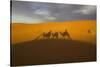 North Tafilalet, Erfoud, Merzouga, Erg Chebbi, Dromedary Camel Caravan-Emily Wilson-Stretched Canvas