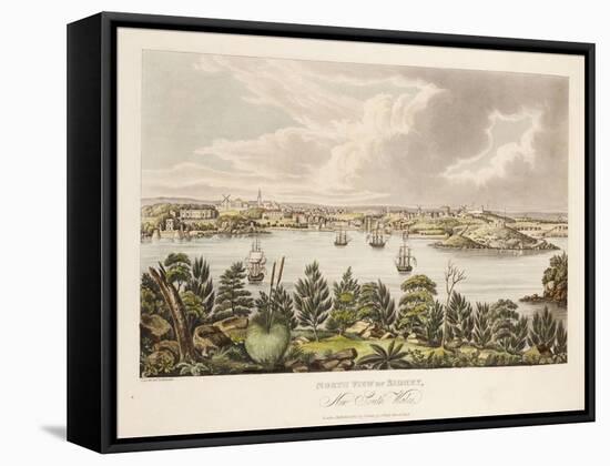 North View of Sidney, New South Wales-Joseph Lycett-Framed Stretched Canvas