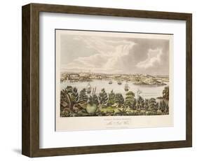 North View of Sidney, New South Wales-Joseph Lycett-Framed Giclee Print